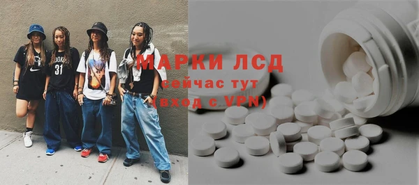 ECSTASY Алзамай