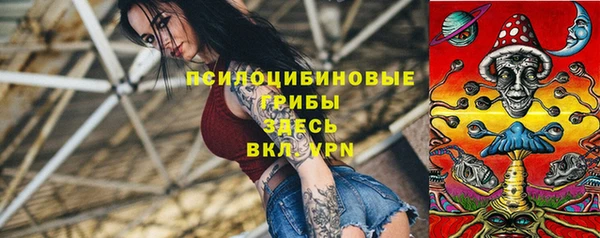 ECSTASY Алзамай